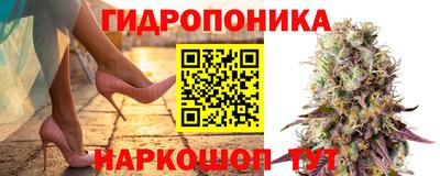 PSILOCYBIN Будённовск